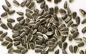 semillas de girasol sana tu vida...hoy