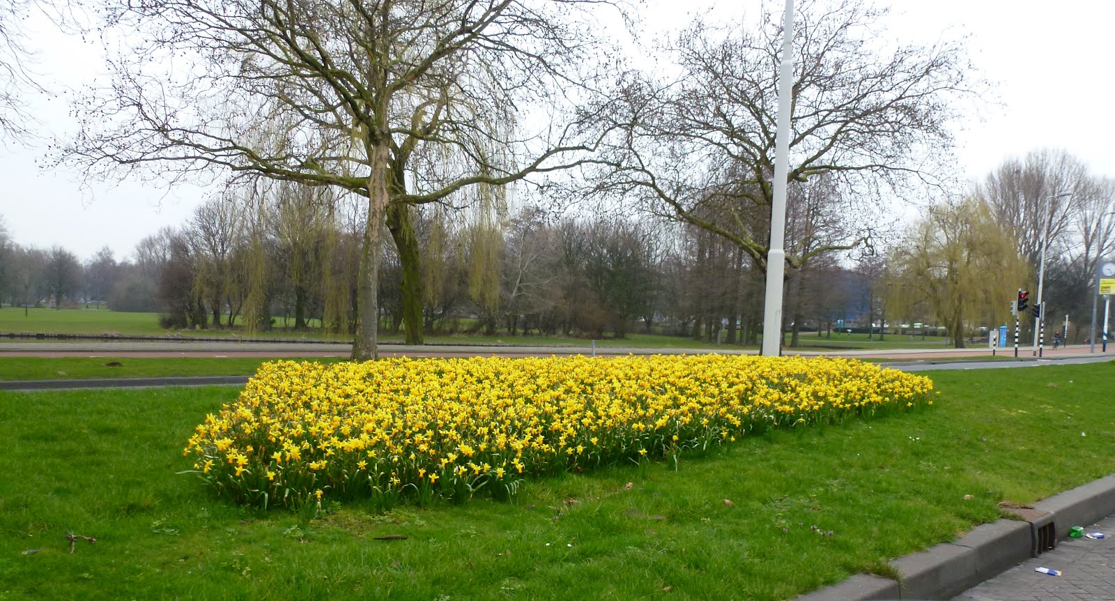 Belgium Brussels/Netherlands Mission: It is Spring in Rotterdam!