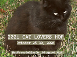 2021 CAT LOVERS HOP