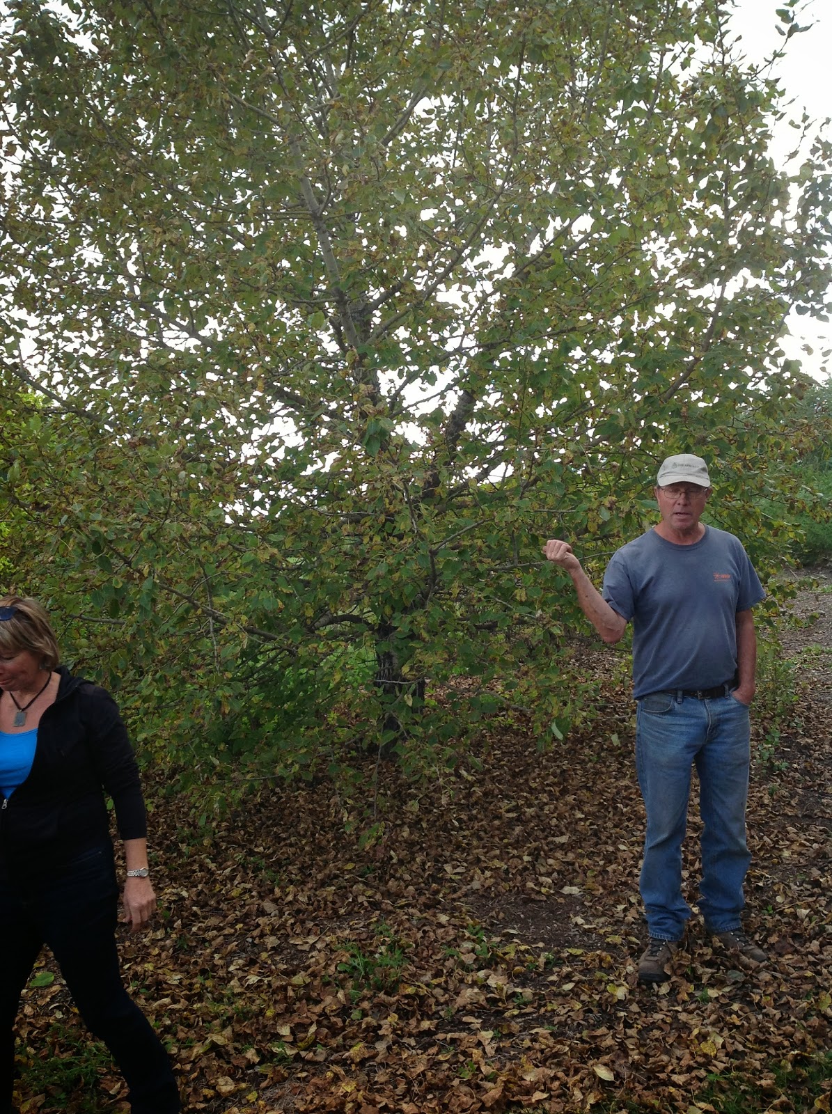 Shauna B Blog PRH1020 Bow Point Nursery Tour