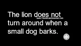 The lion does not turn around when a small dog barks.