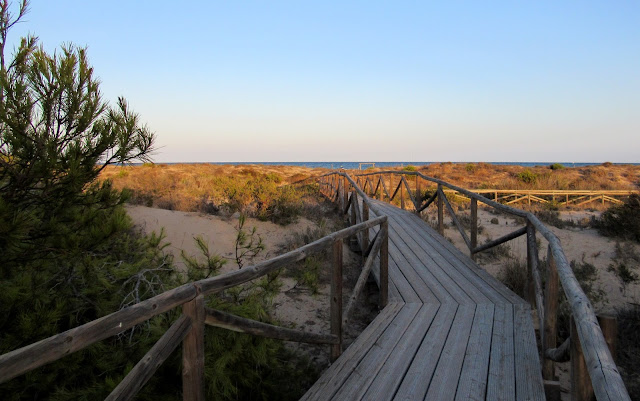 Parque Natural de las Salinas de Santa Pola Pasarelas entre dunas