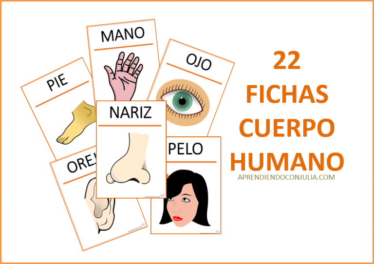PEQUES A BORDO EL CUERPO HUMANO RECURSOS PARA EL AULA