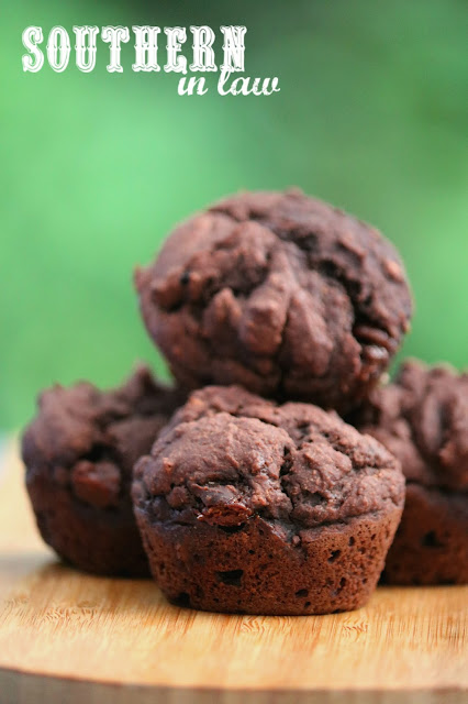 Easy Gluten Free Double Chocolate Muffins Recipe - low fat, gluten free, dairy free, nut free, one bowl recipe