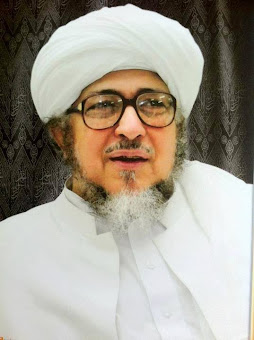 السيد محمد بن علوي المالكي