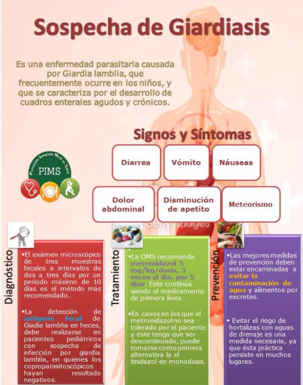 la esposa tomará flagyl antes de que el anal evite la prostatitis