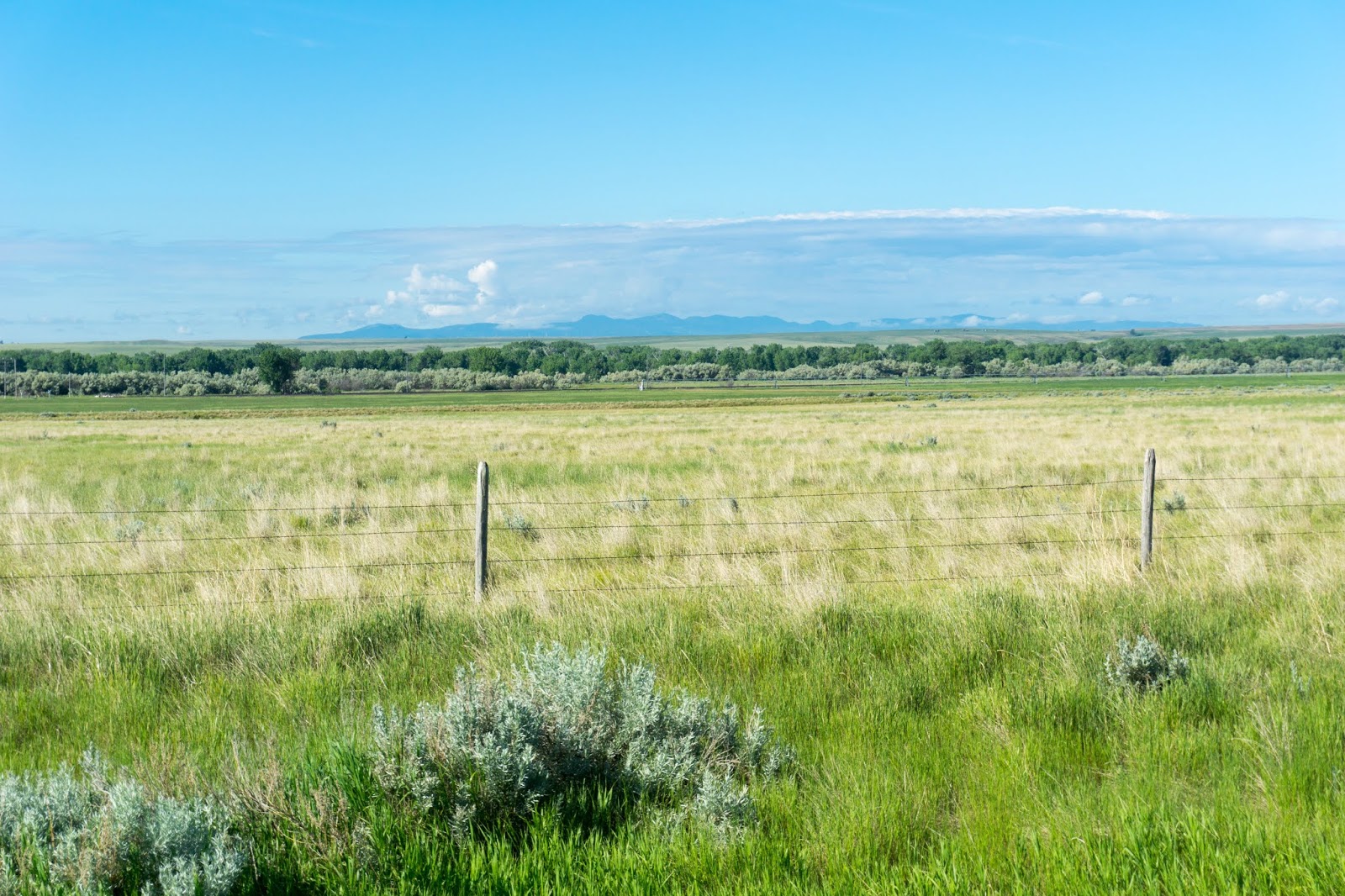 Boston to Seattle 2018 Day 53 Malta,MT to Havre,MT