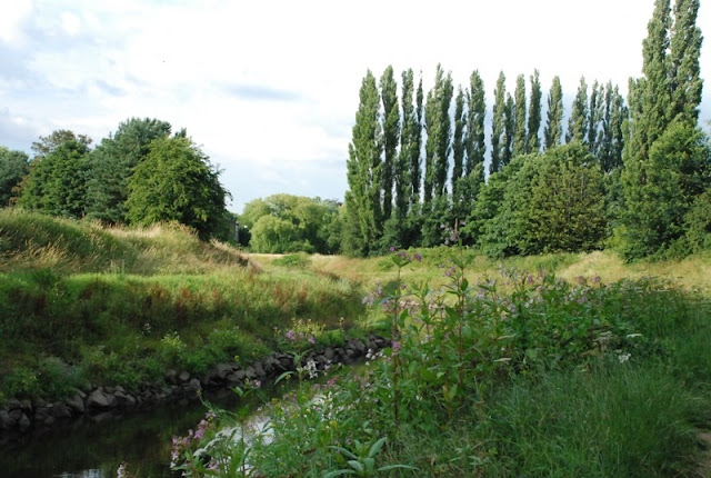 Mersey, Chorlton Water Park
