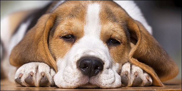 Νύστα, Ιδέες και λύσεις για να μην κλείνει το μάτι