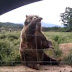 Αρκούδα χαιρέτησε τουρίστρια