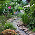 Backyard Garden Small Water Backyard Garden Small Water