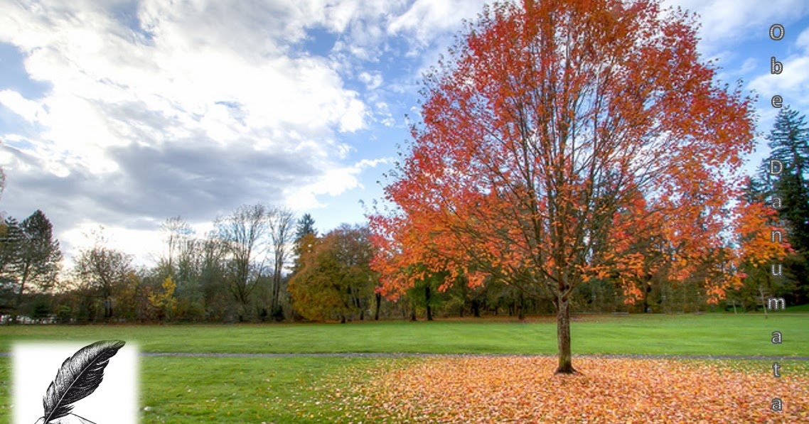 Why do Some Plants Lose their Leaves in Autumn?