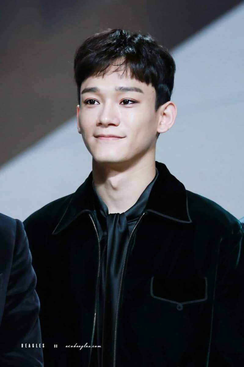 BIODATA DAN PROFIL LENGKAP MEMBER EXO Januari 2017