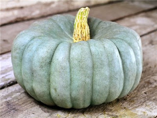 blue-green pumpkin on a wooden table