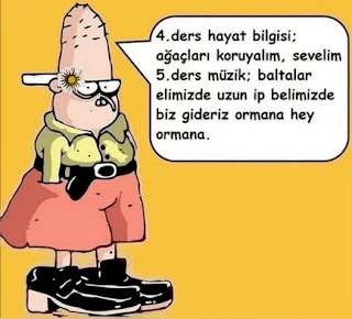 Resim