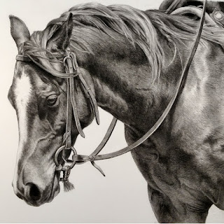caballos-poder-equino-en-dibujos