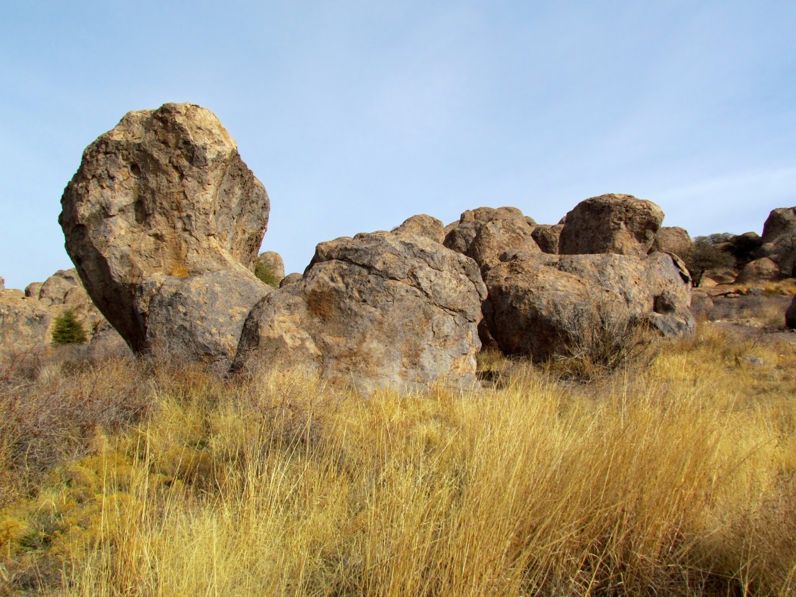 Roving Reports by Doug P: 2012-4 City of Rocks State Park, New Mexico