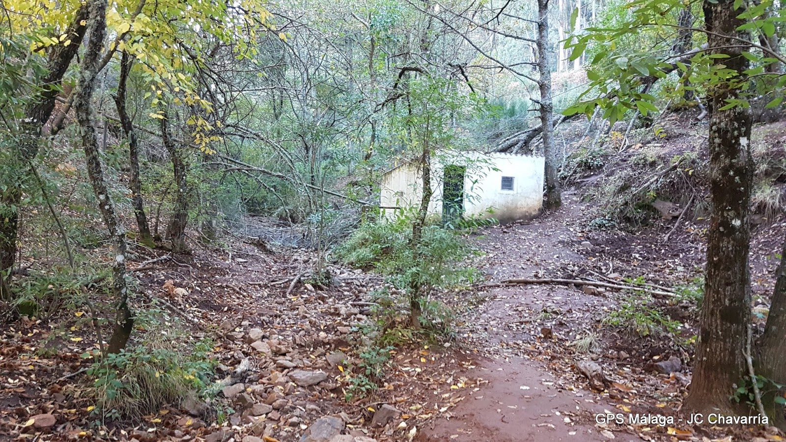 Wikiloc Ruta Circular Juanar Bosque Encantado, Castañas y Miradores