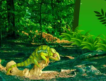 Wild Chameleon Forest Escape Juegos de Escape - Wild Chameleon Forest Escape