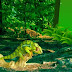 Wild Chameleon Forest Escape