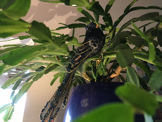 a balck bird with beads sitting in a houseplant - an image that came into the dreams of Corina Duyn
