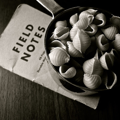 Shells with Notes Shells with Notes: photo by Cliff Hutson