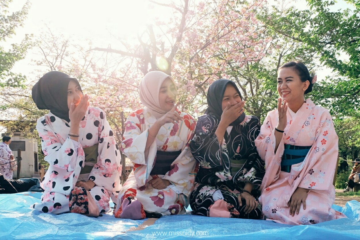 hanami under sakura tree by wearing kimono
