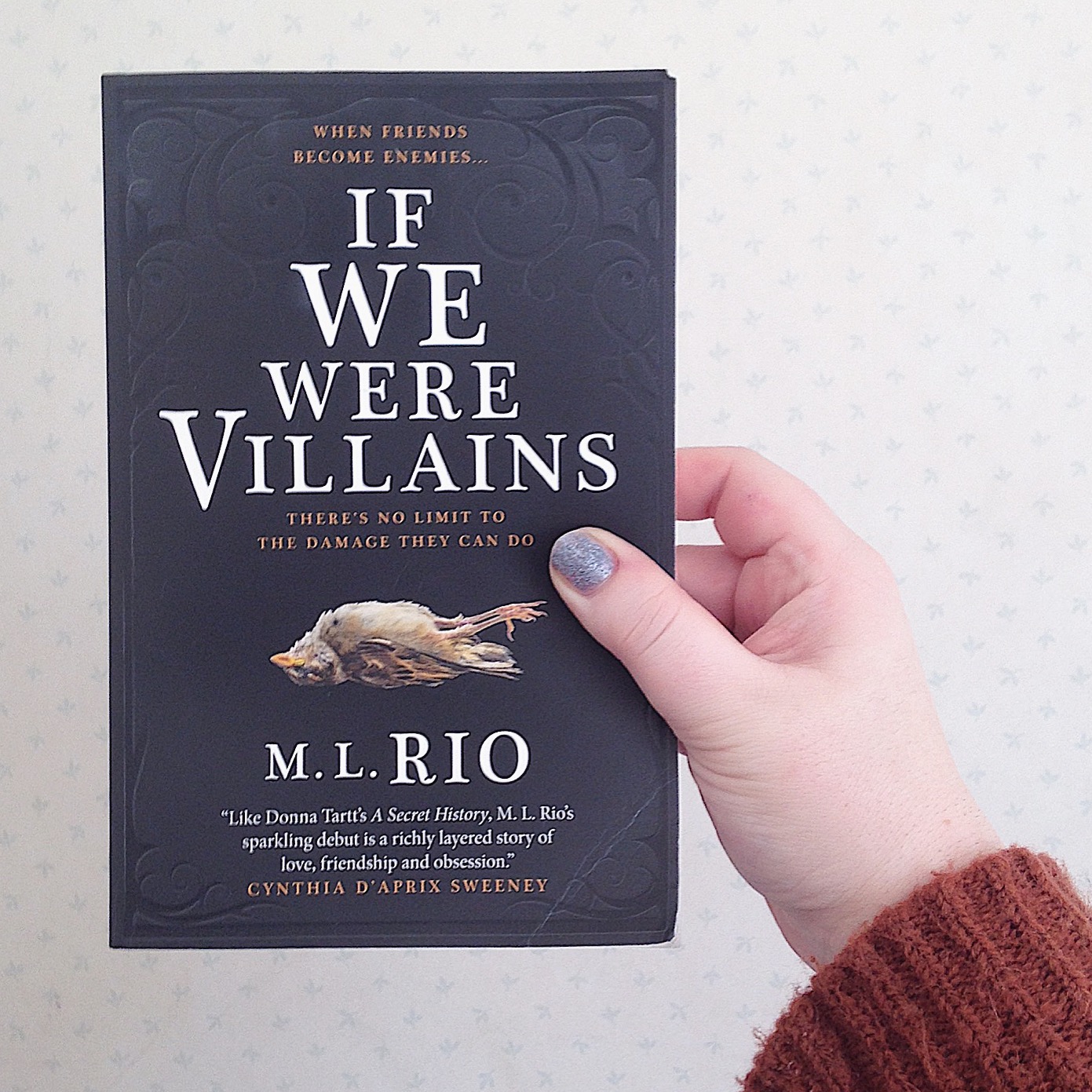 book review if we were villains