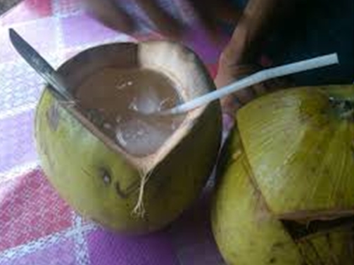 Peluang dan Tips Bisnis Es Kelapa Muda (Degan) Peluang dan Tips Bisnis Es Kelapa Muda (Degan)