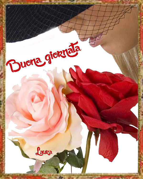 che la vita continua buongiorno mondo buona giornata christmas mi
