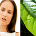 Deten la caída del cabello definitivamente y hazlo crecer rápidamente con este remedio casero