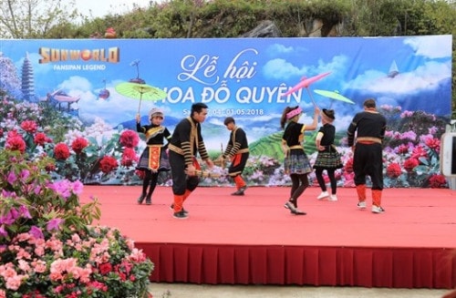 Thiên đường đỗ quyên Fansipan hấp dẫn khách du lịch quốc tế - Ảnh 1 Thiên đường đỗ quyên Fansipan hấp dẫn khách du lịch quốc tế - Ảnh 1
