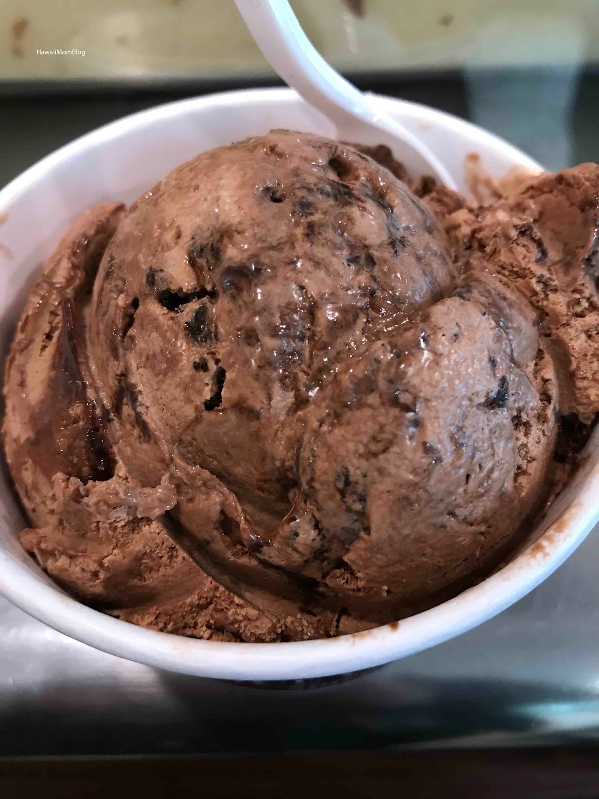 Hawaii Mom Blog Visit New Hampshire Puritan Ice Cream