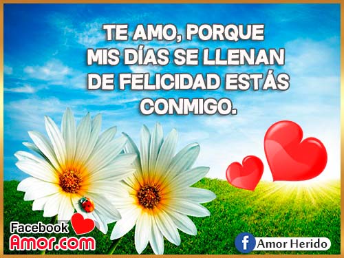 te amo amor corazones te amo amor corazones