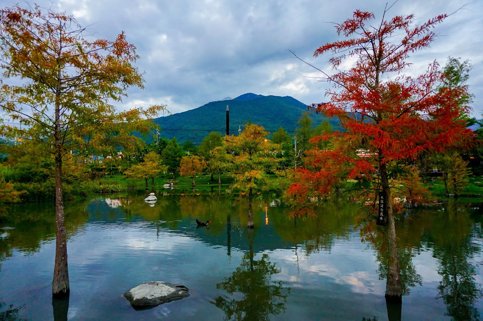 beautyanxiety.com-beautyanxiety.com-cultural-park-forest-DSC08905.jpg