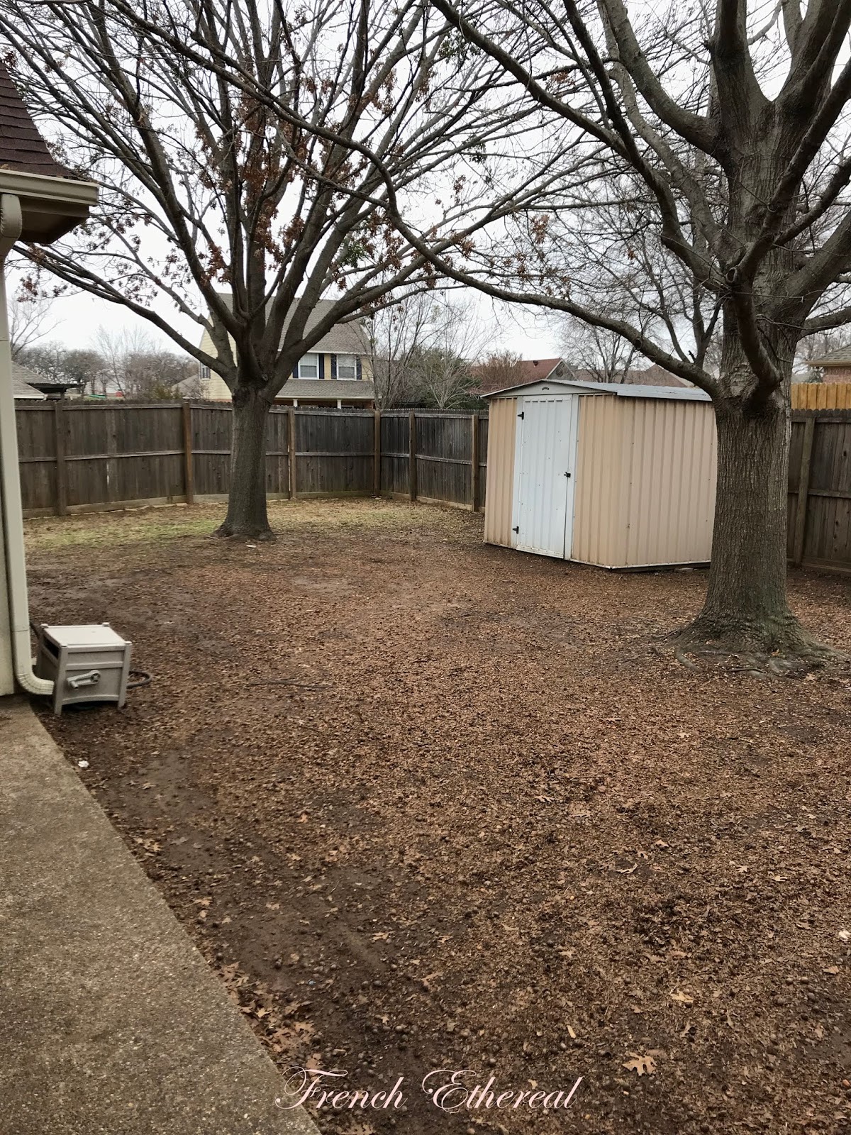 Better Boxwoods Gardener S Journal