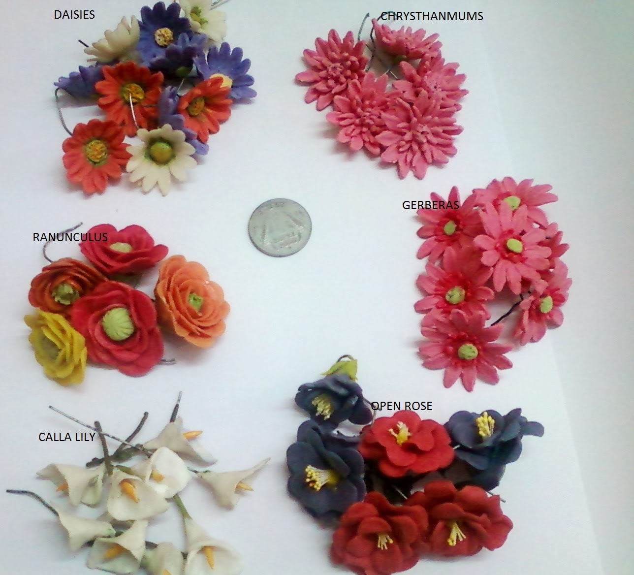 CRAFT WORLD Cold Porcelain Flowers