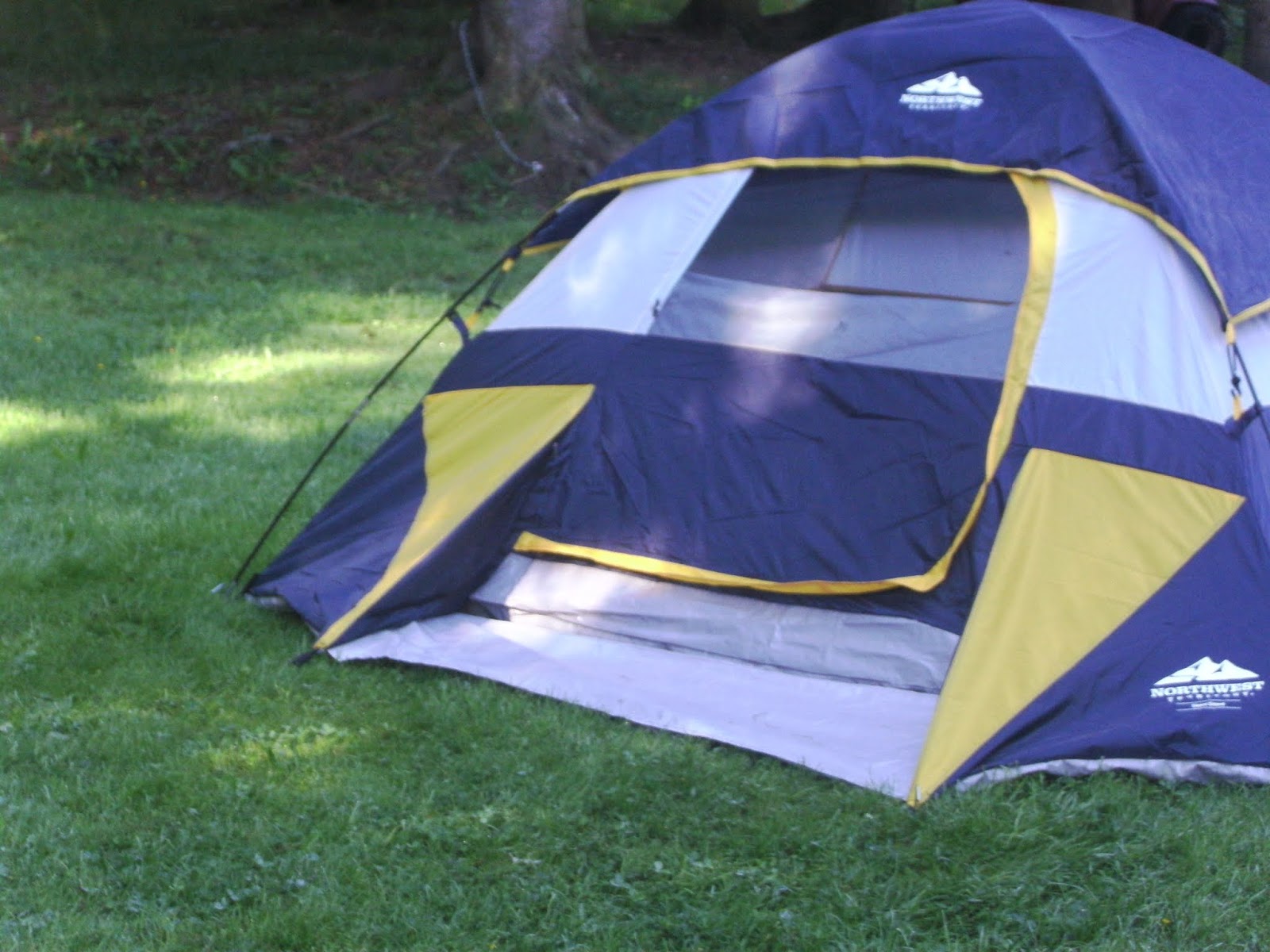 Darcy Pitch a Tent in your Backyard!