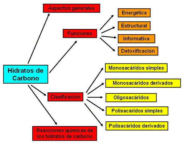 Aprender todo acerca de que es metabolismo
