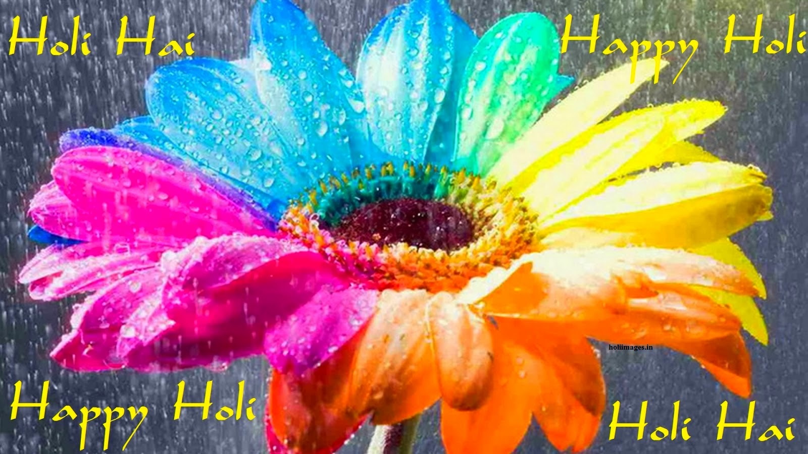 holi images