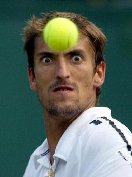 Wall Photos, funny and fun: Sports Funny Faces
