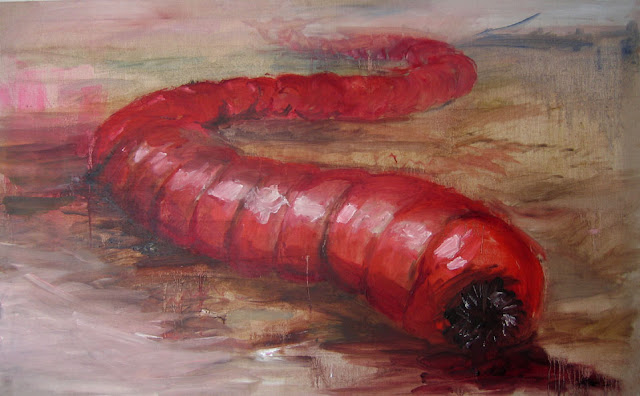 mongolian death worm, μογγολικό σκουλήκι του θανάτου, έρημος Gobi