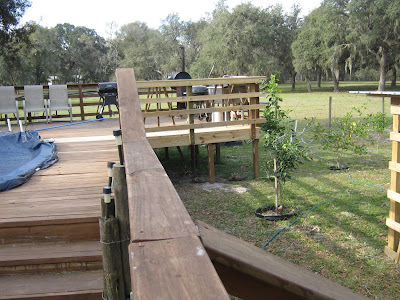 Tree removal damage deck repair www.sewplus.blogspot.com
