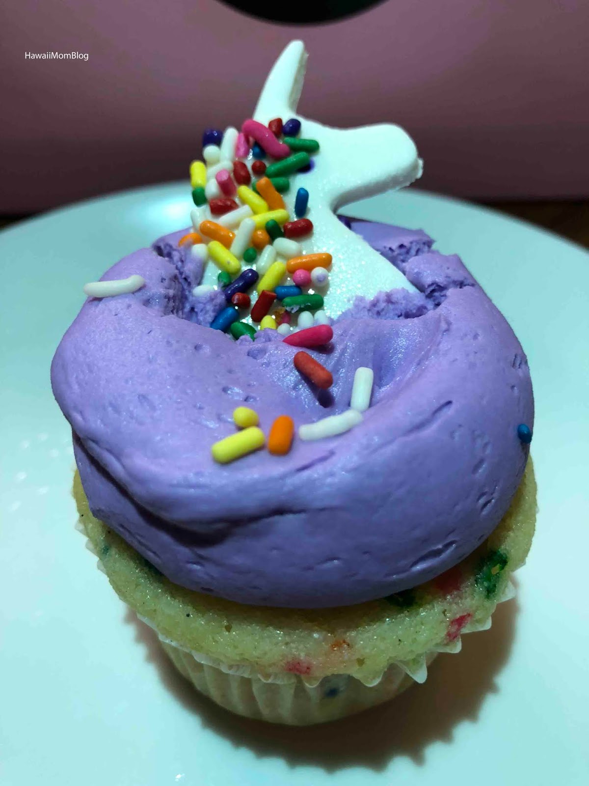Hawaii Mom Blog Visit DC Cupcake