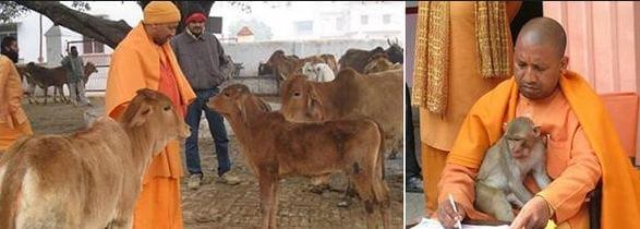 Yogi Adityanath is also a human and animal rights activist