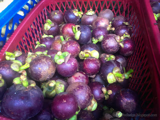Newly Picked Of Fresh Mangosteen Fruits For Sale In A Plastic Fruit Basket