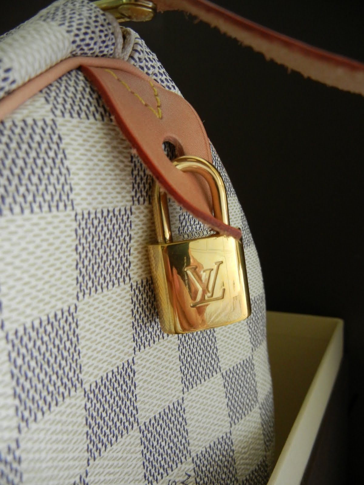 Louis Vuitton Monogram Shoulder Strap Speedy Alma Eva Favorite