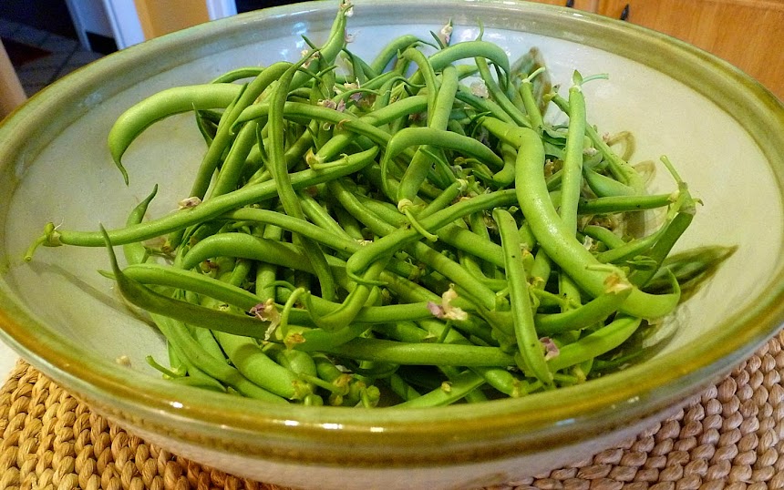 Living the life in SaintAignan Green bean season and summer evening