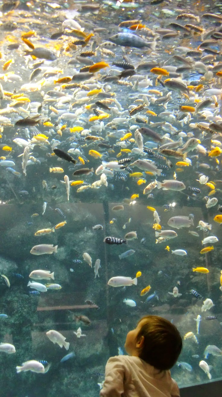 10 of the World's Most Famous Zoos - Toronto Zoo, Ontario, Canada 10 of the World's Most Famous Zoos - Toronto Zoo, Ontario, Canada