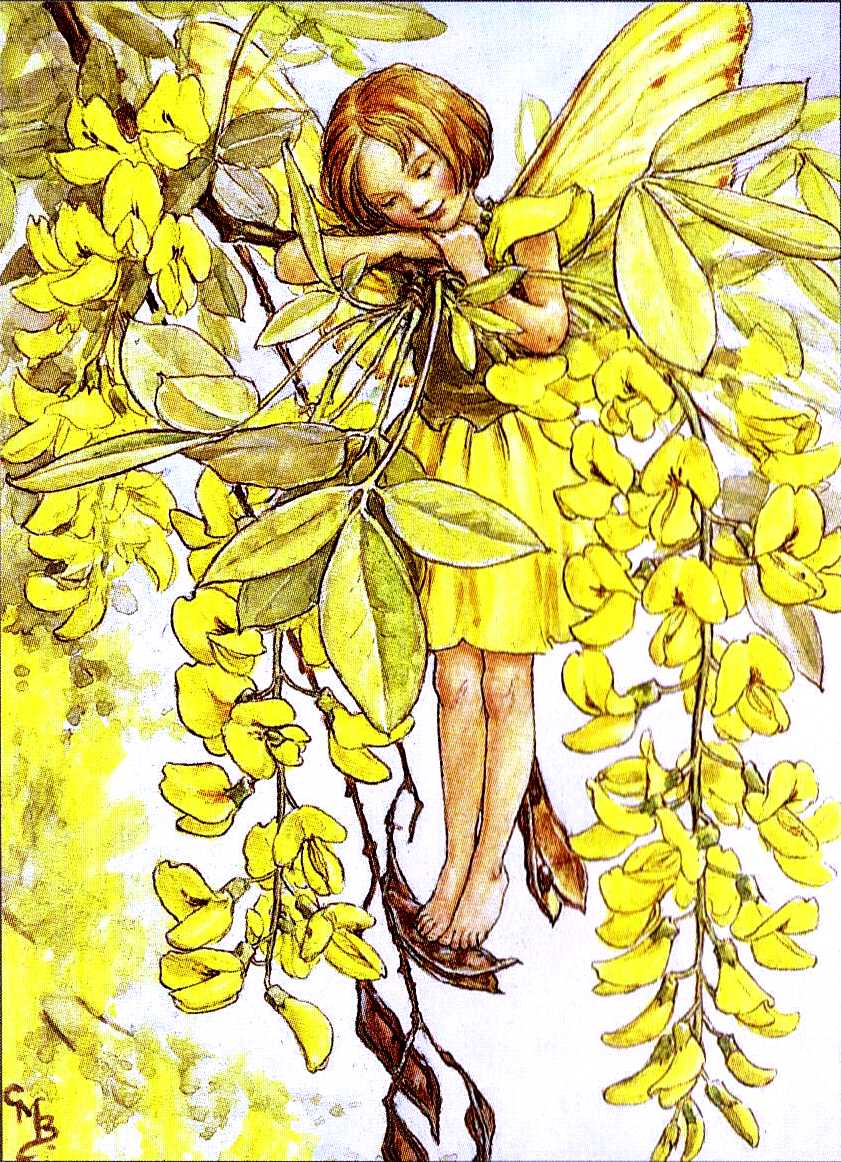 Cicely Mary Barker a Cicely Mary Barker illustration of a tree fairy